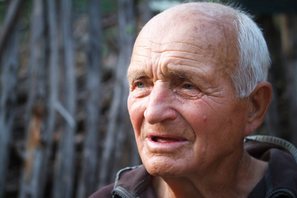 Retrato de close-up de um homem muito velho contra o pano de fundo de wattle, foco seletivo
 - Foto, Imagem
