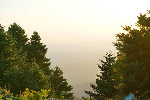 ユーボアのディルフィと呼ばれる山の中で見ることができる魅惑的な景色 - 写真・画像