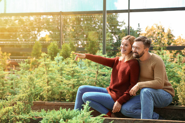 Couple choosing Christmas tree in greenhouse - Φωτογραφία, εικόνα