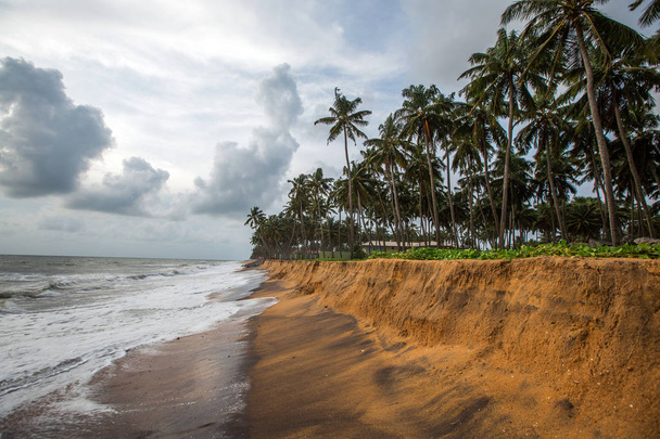 Vagues océaniques lavant la côte sablonneuse avec des palmiers tropicaux sous un paysage nuageux pittoresque
. - Photo, image