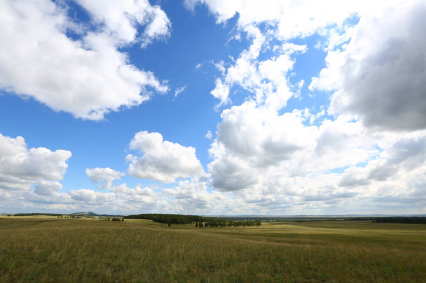 Tarım arazisi. Mavi gökyüzünün altında yeşil çimenler ve beyaz bulutlar.. - Fotoğraf, Görsel