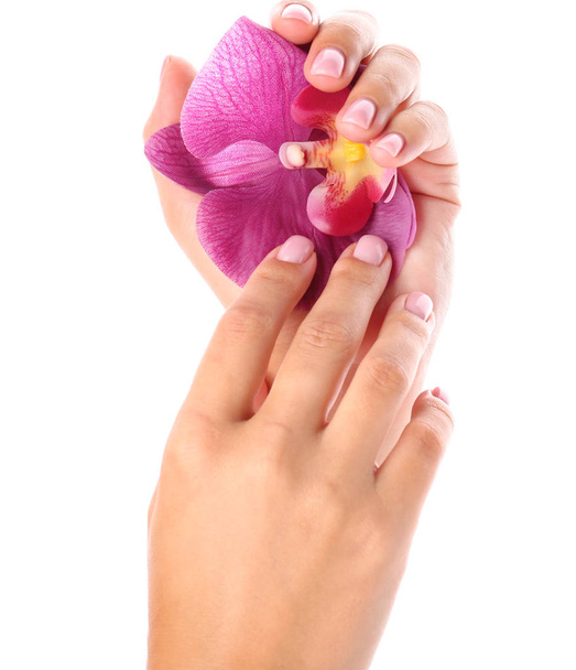 Female hands with beautiful manicure and flower on white background - Foto, Imagen