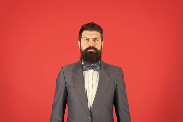 Delight in the details. Business success. Mature businessman. Bearded man hipster in bow. fashion look. Stylish businessman. Bearded man in formal suit. Successful businessman. Confident businessman - Fotoğraf, Görsel