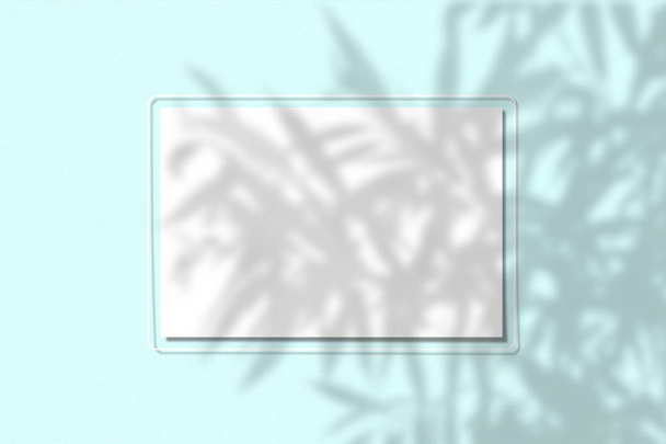Un pedazo de papel sobre un fondo azul. Diseño con la imposición de sombras de plantas. La luz natural proyecta una sombra desde arriba. La escena de una planta exótica desde la ventana
. - Foto, imagen