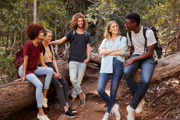 Young adult friends hiking in a forest resting on a fallen tree and talking, full length - Fotografie, Obrázek