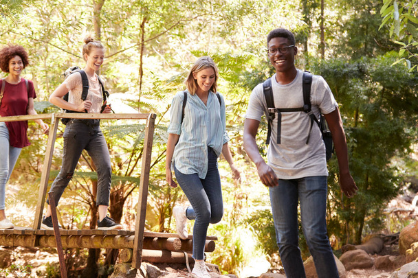 Young adult friends crossing a footbridge during a hike in a forest, full length - Photo, image