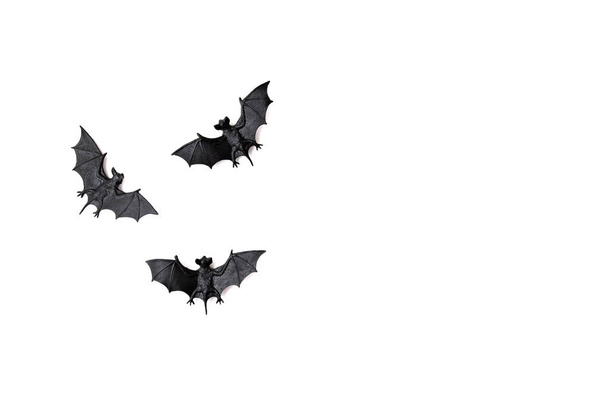 Вид сверху на украшение Хэллоуина пластиковыми летучими мышами. Вечеринка, приглашение
 - Фото, изображение