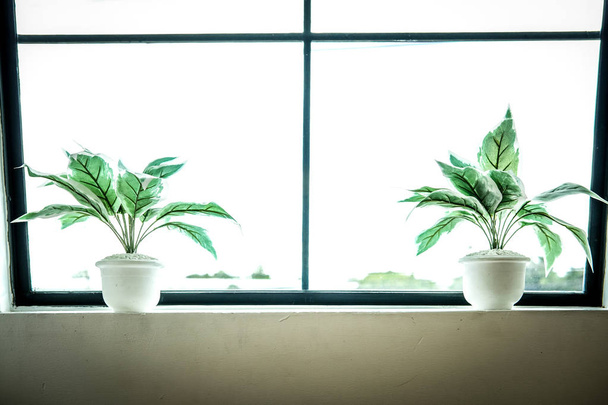 искусственное растение в горшке возле окна
 - Фото, изображение