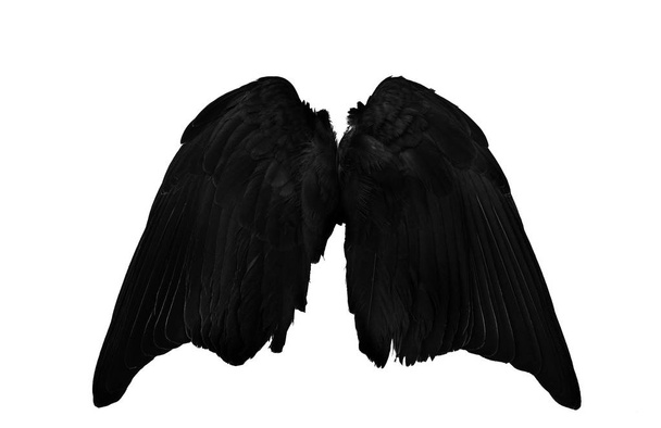 Angel vleugels op witte achtergrond - Foto, afbeelding