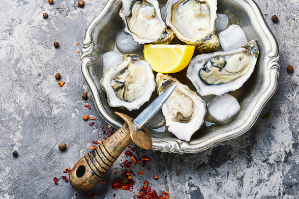 Opened oysters on metal plate - Photo, Image