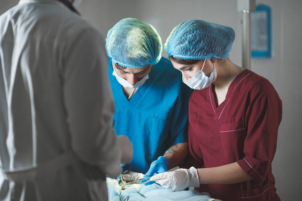 Grupa chirurgów pracujących w teatrze chirurgicznym. Zespół medycyny reanimacyjnej w maskach ochronnych z narzędziami medycznymi ze stali - Zdjęcie, obraz