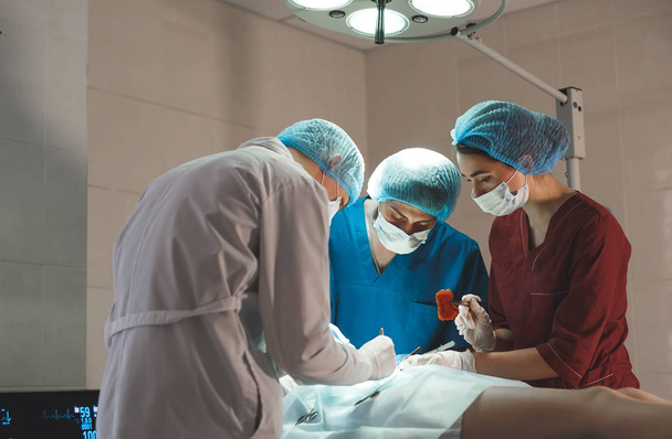 Gruppo di chirurghi al lavoro in sala operatoria. squadra di medicina della rianimazione indossando maschere protettive in possesso di strumenti medici in acciaio - Foto, immagini