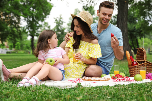 Happy family having picnic in park on summer day - Foto, afbeelding