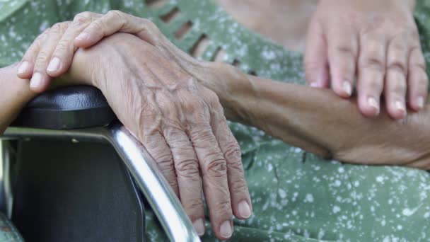 Hija cuidar anciana madre en silla de ruedas en casa
 - Metraje, vídeo