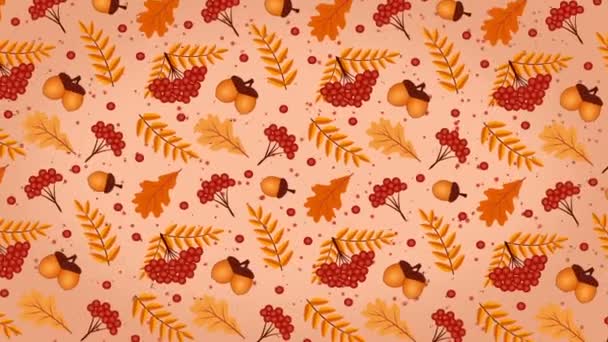 Viburnum, žaludy a dubové listy, podzimní pozadí - Záběry, video