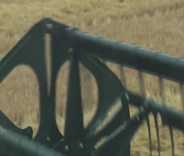POV of combine harvesting wheat - Materiał filmowy, wideo