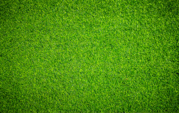 fond d'herbe vert naturel brillant
 - Photo, image