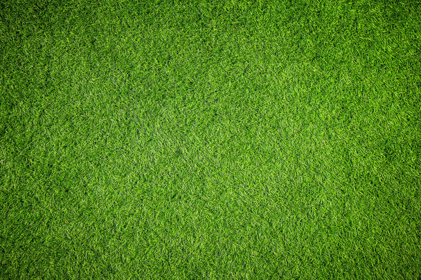 parlak doğal yeşil çim arka plan - Fotoğraf, Görsel