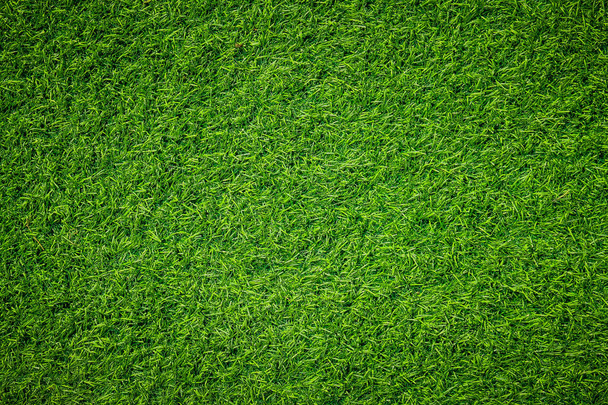 bright natural green grass background - Photo, Image