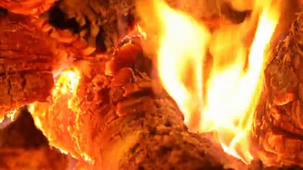 薪を燃やすキャンプ火災の焚き火の炎を閉じる. - 映像、動画