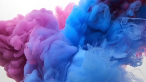 Blue and Red Ink mixing together over a pure white background. Fantastic texture to place in your projects as luma matte or layer transfer modes to delete white background. - Footage, Video