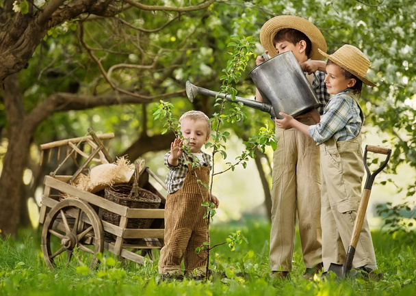 Children plant a tree in the garden - Foto, immagini