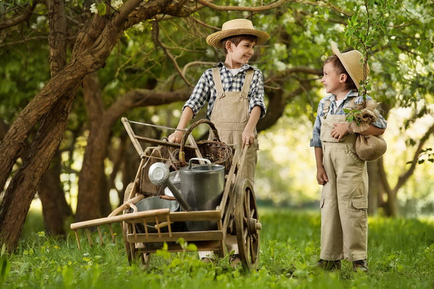 Young gardeners in the garden implements and seedlings - Photo, Image