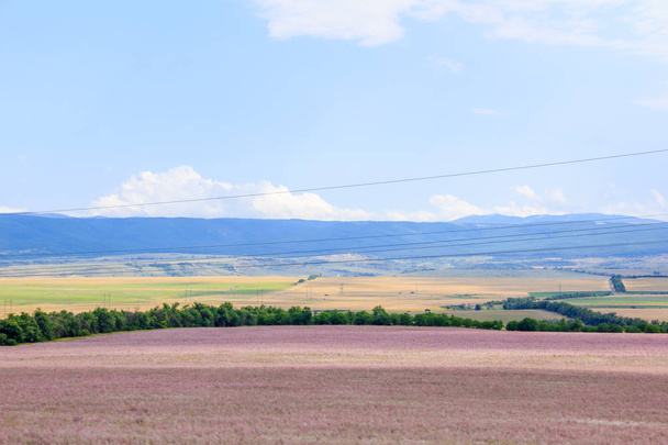 Krím mezők, nyári tájak napközben  - Fotó, kép