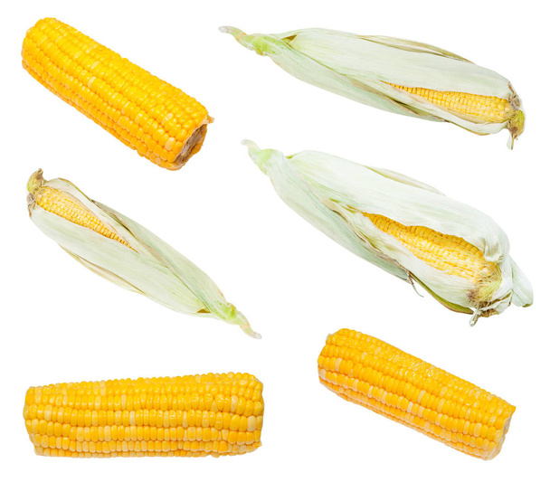 conjunto de espigas de maíz frescas y hervidas aisladas - Foto, imagen