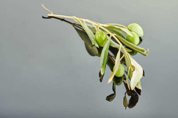 Olive tree branch with fruits lying on a gray background - Photo, Image