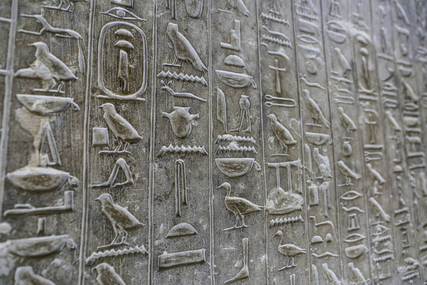 Testi della piramide nella piramide di Unas, Saqqara, Cairo, Egitto
 - Foto, immagini