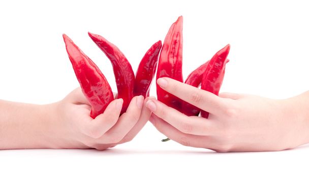 Chiles rojos en las manos
 - Foto, Imagen