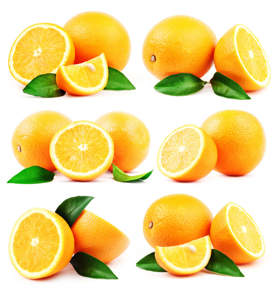 πολλά πορτοκάλια σε άσπρο φόντο - Φωτογραφία, εικόνα