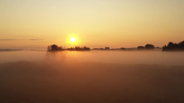 4K Політ над ранковим літнім лугом в тумані, красивий літній пейзаж, висока якість
 - Кадри, відео