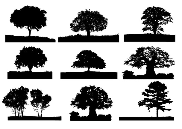 δέντρα σιλουέτα 004 - Διάνυσμα, εικόνα