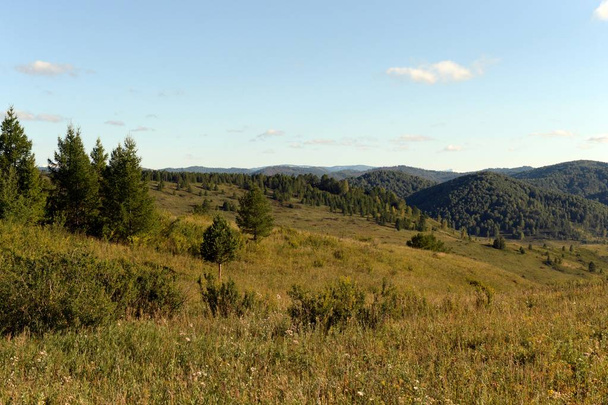   Russia.Western Siberia. The foothills of the Altai mountains - Φωτογραφία, εικόνα