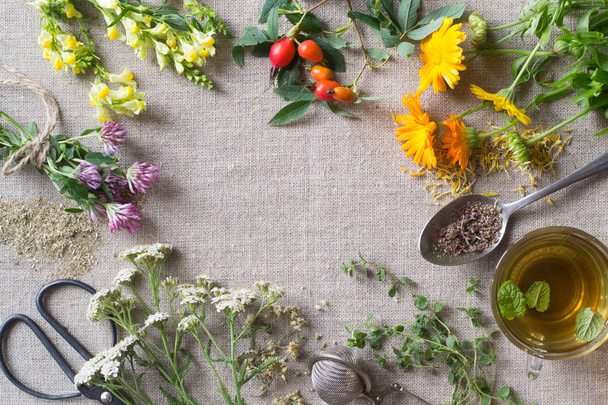 Herbes curatives fraîches et sèches sur tissu
  - Photo, image