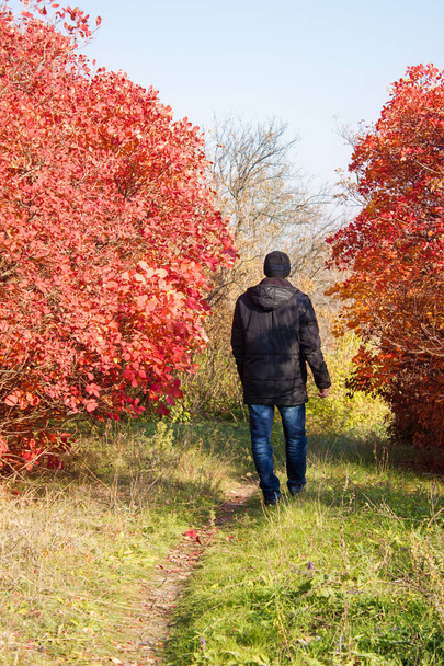 Mladý muž podzim na procházce přírodou mezi stromy, pokzivující - Fotografie, Obrázek