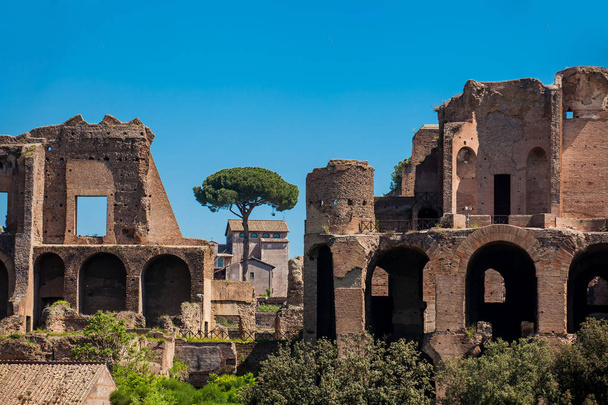 Temple of Apollo Palatinus on Palatine Hill of ancient Rome and Circus Maximus - Valokuva, kuva