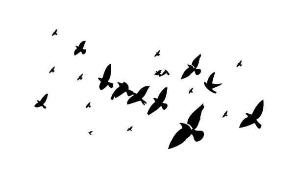 A flock of flying birds. Vector illustration - Vettoriali, immagini