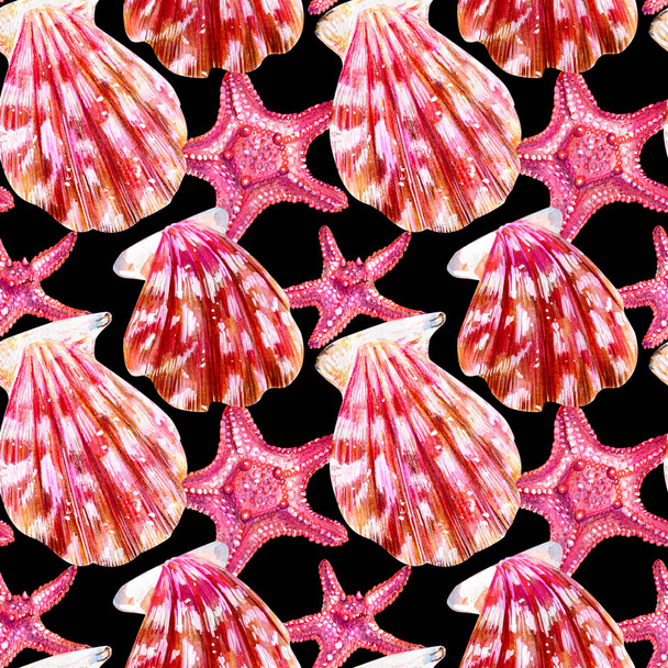 Seamless pattern of scallop shells. - Photo, Image