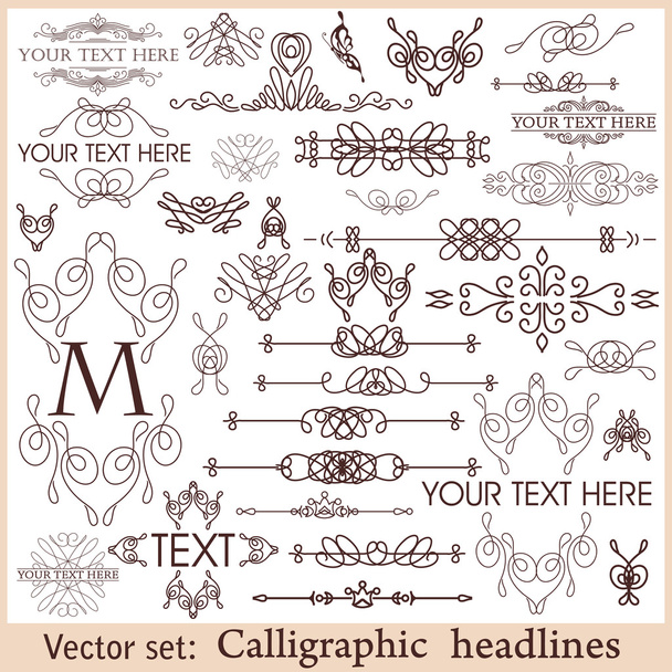 Vector set: calligraphic design elements for menu or its. - Vector, afbeelding