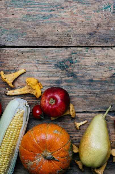 Autumn seasonal vegetables and fruits (pumpkin, pear, apples, co - 写真・画像