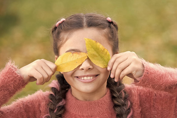 Small child with autumn leaves. Happy childhood. School time. Happy little girl in autumn forest. Autumn leaves and nature. I would stay here forever. Ready for new adventures. Autumn beauty - Photo, image