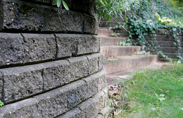 Каменная стена и зеленый плющ
 - Фото, изображение