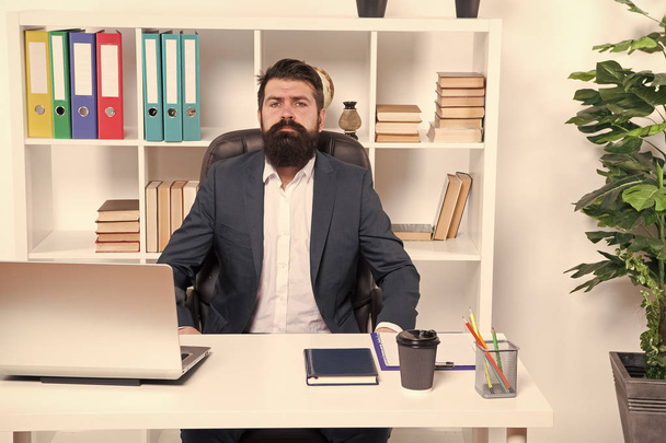 Business. Modern businessman. Bearded man. Mature hipster with beard. Male fashion in business office. Confident brutal man. Businessman in formal suit. Man. Portrait of man sitting at desk in office - 写真・画像