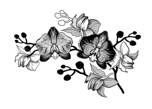 Realistic sketch with hand drawn branch of flowers - Vector, imagen