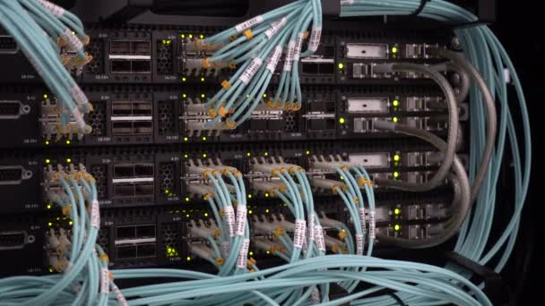 Světla a připojení na síťovém serveru. - Záběry, video