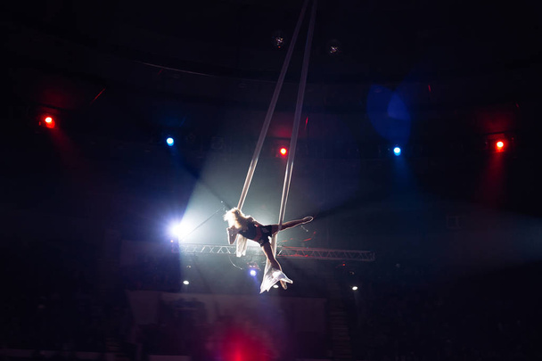 Girls aerial acrobatics in the Circus arena. - Фото, изображение