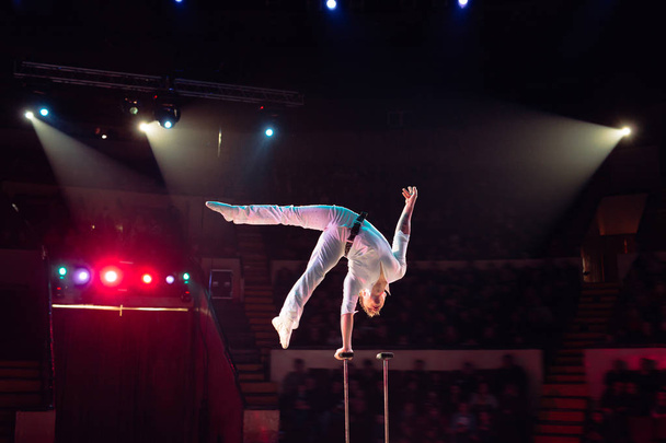 Mans aerial acrobatics in the Circus arena. - Foto, Bild